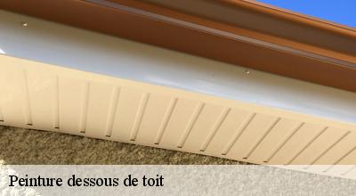 /photos/1755532-peinture-dessous-de-toit