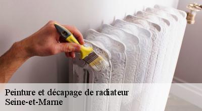 /photos/1755536-peinture-et-decapage-de-radiateur