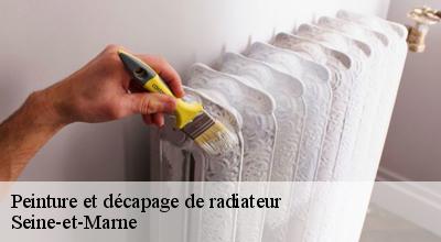 /photos/1755536-peinture-et-decapage-de-radiateur