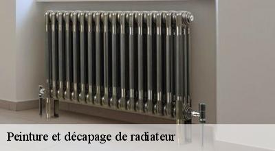 /photos/1755536-peinture-et-decapage-de-radiateur