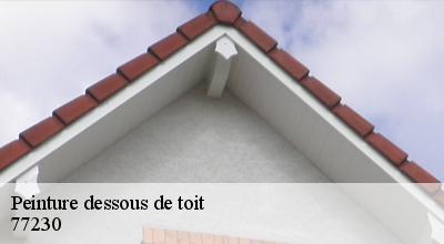 /photos/1758012-peinture-dessous-de-toit