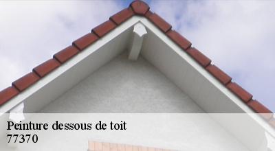 /photos/1758066-peinture-dessous-de-toit