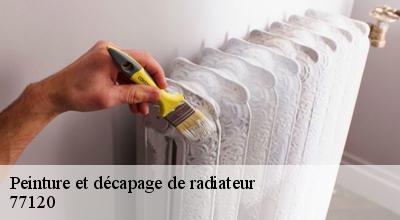 /photos/1759924-peinture-et-decapage-de-radiateur